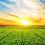 Climate Could Hit a Tipping Point Sooner Than You Think | Sierra Club